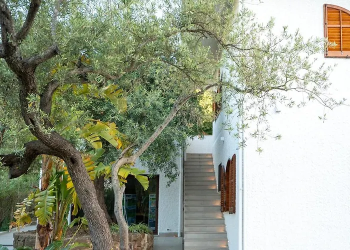 Flaccomio Appartement